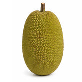 Jack Fruit