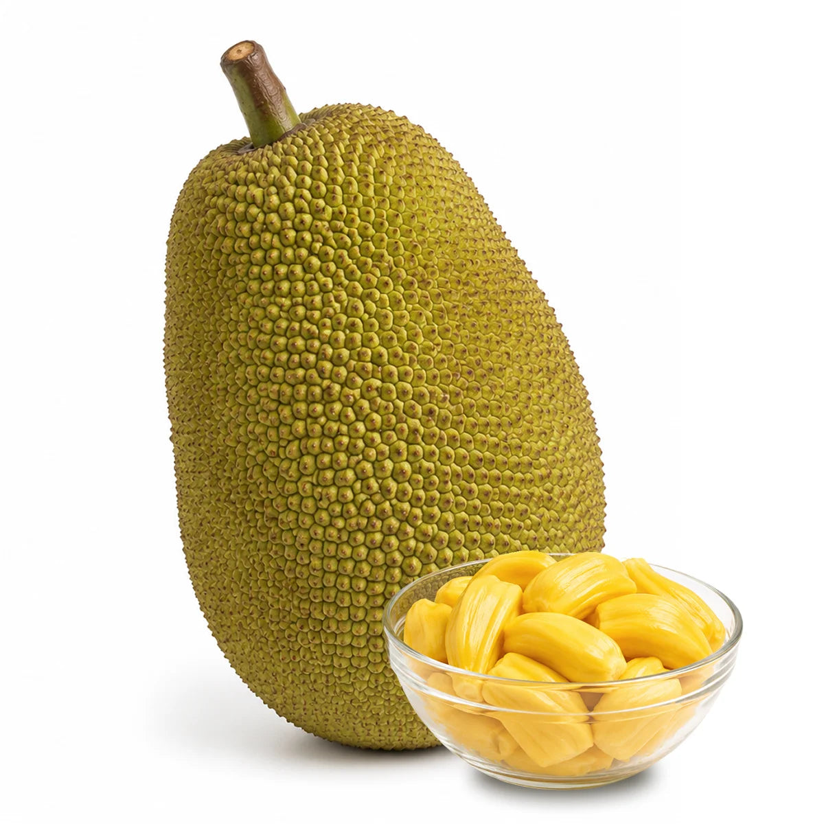 Jack Fruit