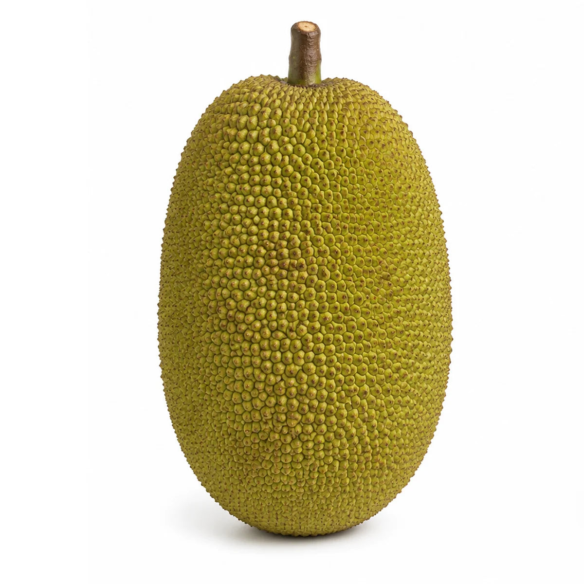 Jack Fruit
