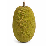 Jack Fruit