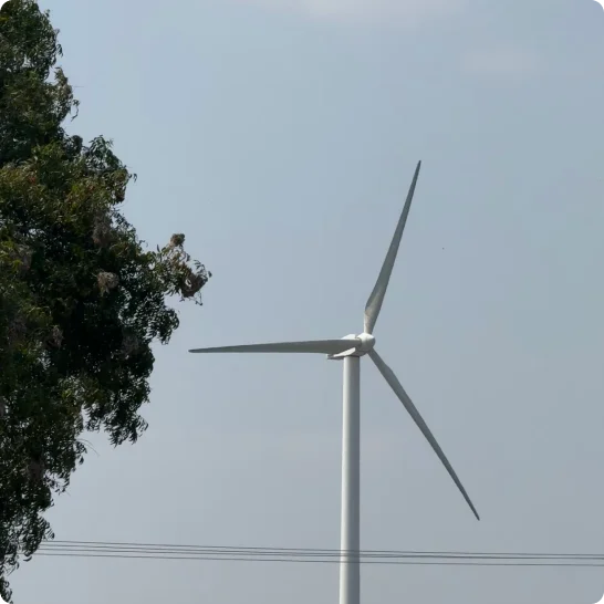 korakkarfarms