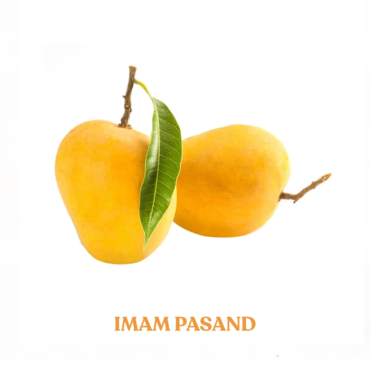 Farm Fresh Mangoes