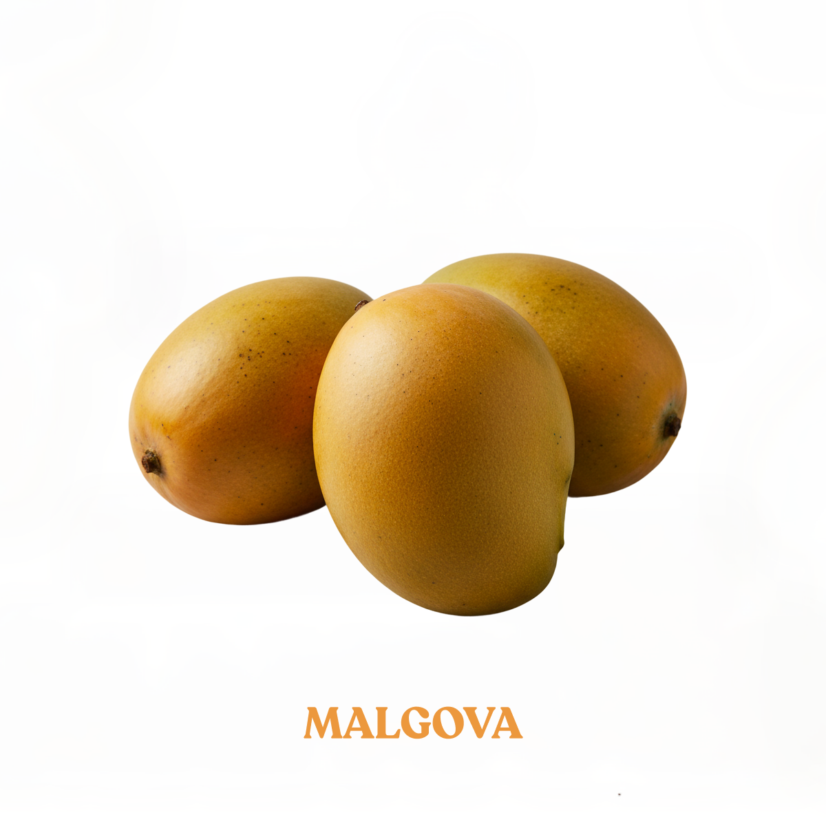 Farm Fresh Mangoes